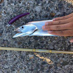 好調の武庫一！