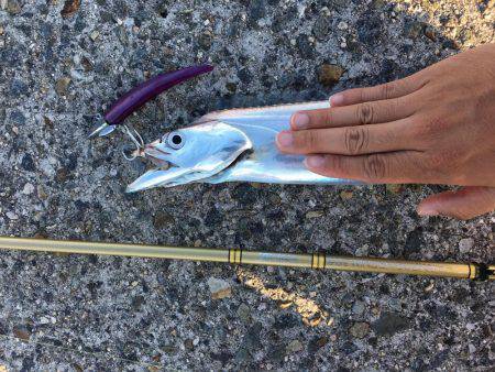 好調の武庫一！