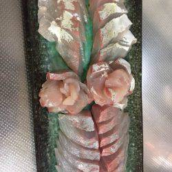 チビっ子、カンパチ!