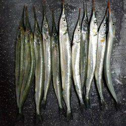 家族で南芦屋浜