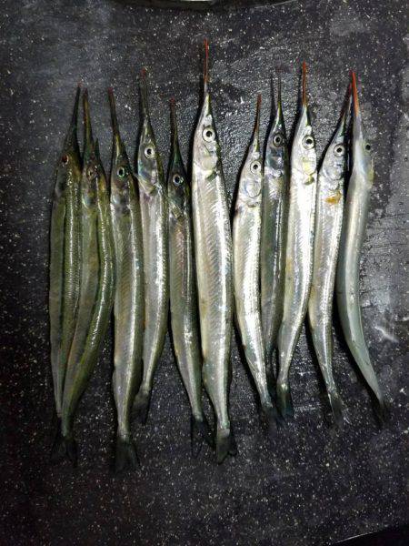 家族で南芦屋浜