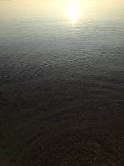 夜明け前のエギング