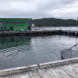 海上釣堀辨屋にて