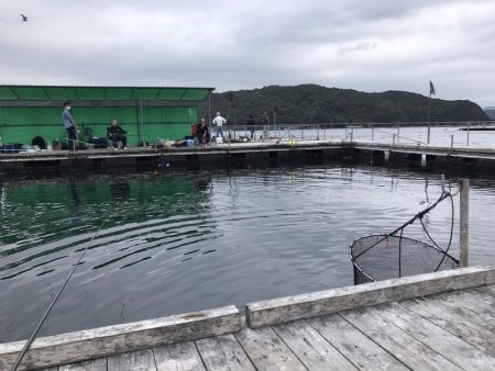 海上釣堀辨屋にて