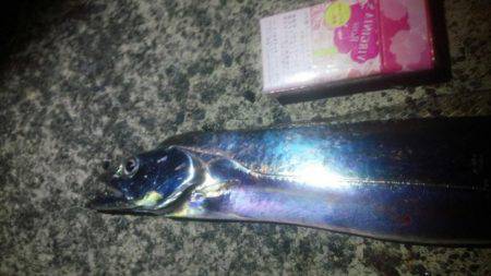 石津浜　４日連荘絶好調