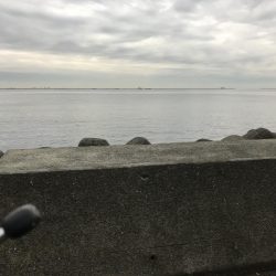 誰でも入れ食い