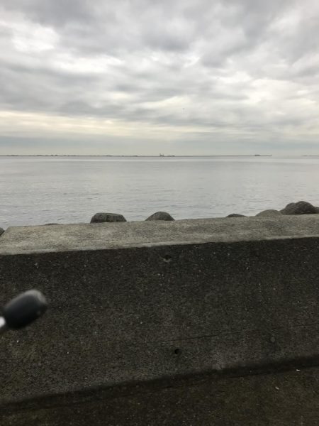 誰でも入れ食い