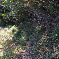 台風後…台風前釣行！