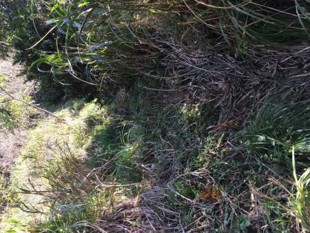 台風後…台風前釣行！