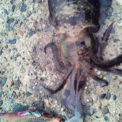 なんか～雨多いな～！