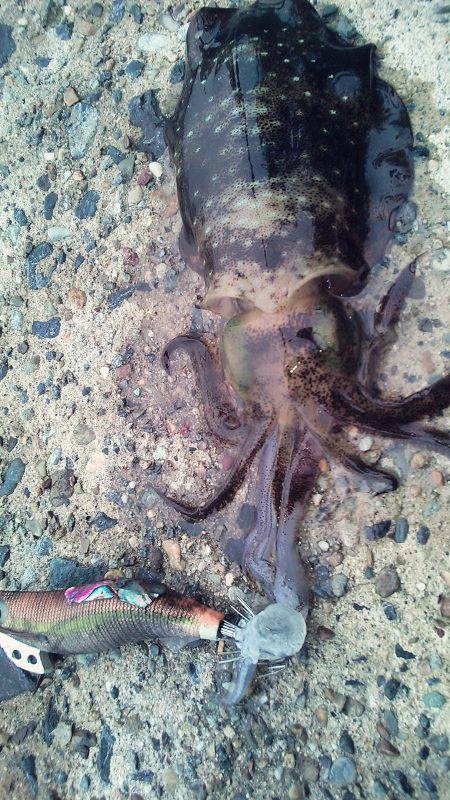 なんか～雨多いな～！