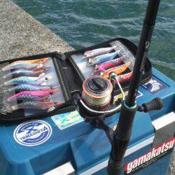 風 時々 アオリ