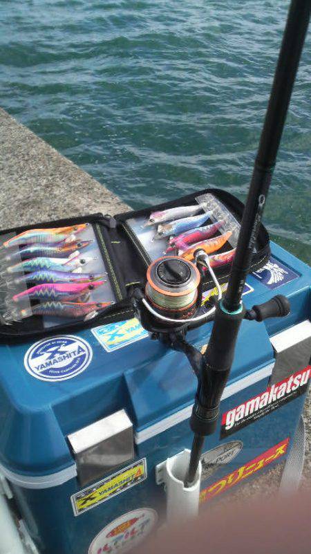 風 時々 アオリ