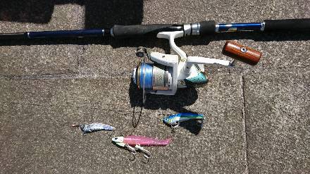 タチウオ　サゴシ