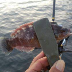 清掃活動に参加