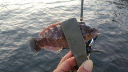 清掃活動に参加