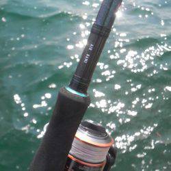 どこにお出かけですか?