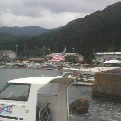 イカがタコ（凧）ように・・・