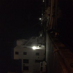 根魚狙いのはずが