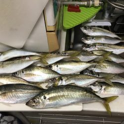 これだけのアジどう料理しよう