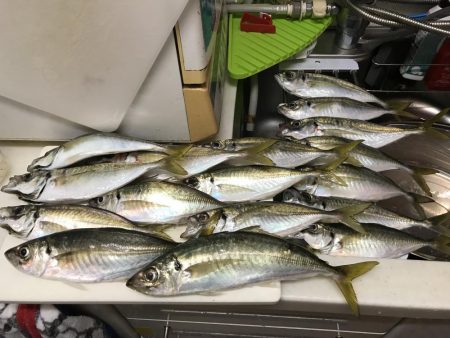 これだけのアジどう料理しよう