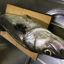 ボイル後の一本!