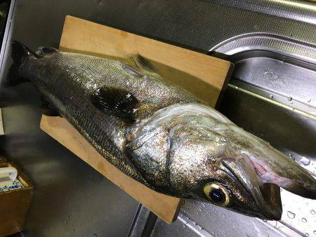 ボイル後の一本!