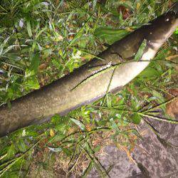 夜中の暇つぶし