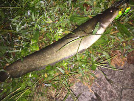 夜中の暇つぶし