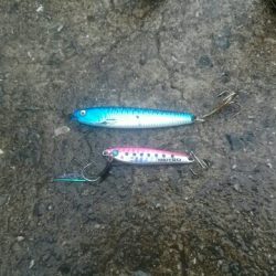 雨にも負けず♪