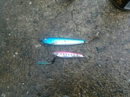 雨にも負けず♪