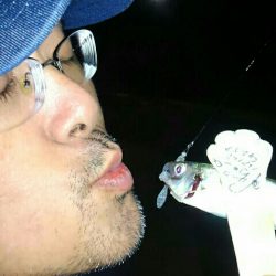 夕マヅメちょこっとアジング