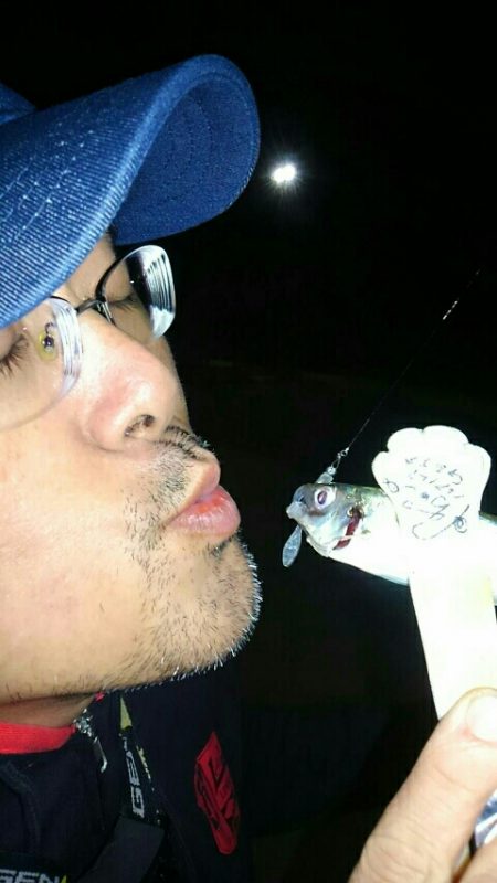 夕マヅメちょこっとアジング