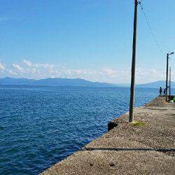 キスからカレイの調査