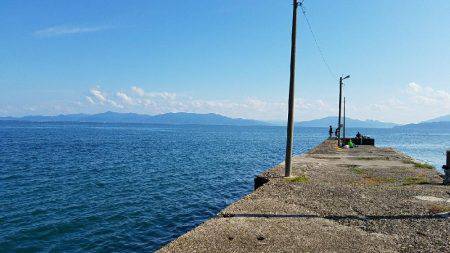 キスからカレイの調査