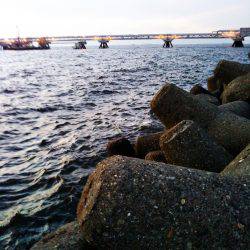 太刀魚たくさん釣れました(^-^)