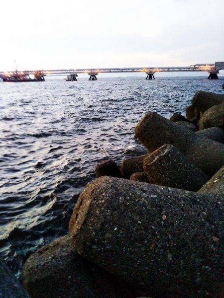 太刀魚たくさん釣れました(^-^)