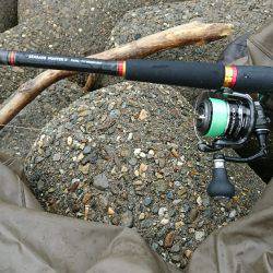 NEWロッド入魂完了♪