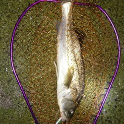 雨降りは素敵♪