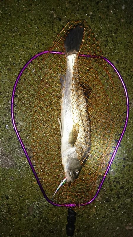 雨降りは素敵♪