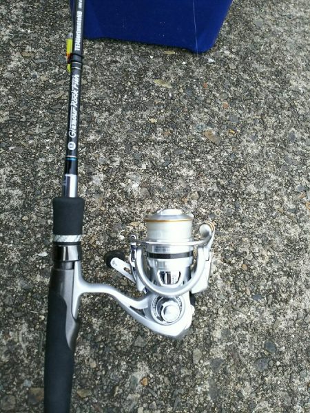 朝練アジングのはずが