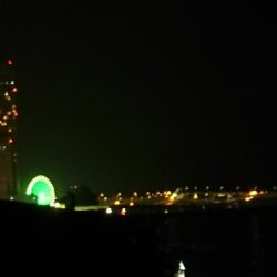 夜中は釣れず…