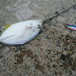 和歌山ランガン