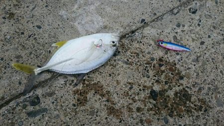 和歌山ランガン