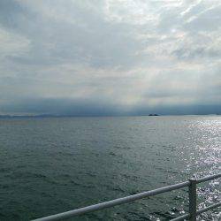 今日の大物は？？