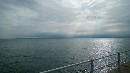 今日の大物は？？