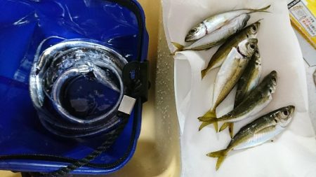 アジングのはずが