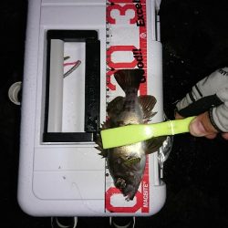 ライトゲームのちタチウオ