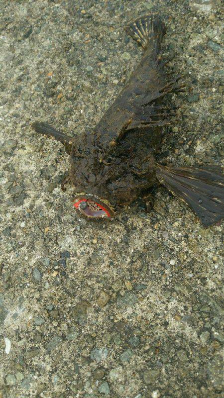 デイライトゲーム。