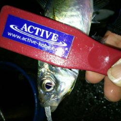 台風前の淡路島♪